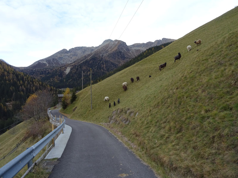 escursione ai Laghi di San Pancrazio e Anterano (BZ)